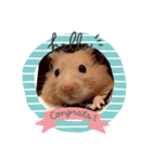 チャッキちゃんスタンプ（個別スタンプ：2）