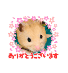 チャッキちゃんスタンプ（個別スタンプ：6）