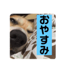 ラムちゃんスタンプ！（個別スタンプ：2）