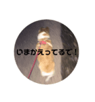 ラムちゃんスタンプ！（個別スタンプ：3）