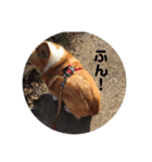 ラムちゃんスタンプ！（個別スタンプ：4）