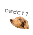 まろひめわか親子スタンプ2（個別スタンプ：5）