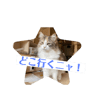 猫の森スタンプ（個別スタンプ：2）
