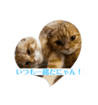 猫の森スタンプ（個別スタンプ：3）