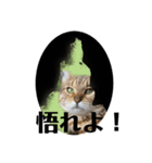 猫の森スタンプ（個別スタンプ：6）
