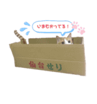 ラブこむぎちゃん2（個別スタンプ：1）