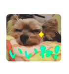 しょこら！②（個別スタンプ：6）