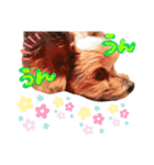 しょこら！②（個別スタンプ：14）