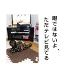 てつじ スタンプ  ③（個別スタンプ：40）