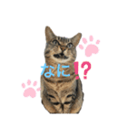 るいさらすたんぷ（個別スタンプ：2）