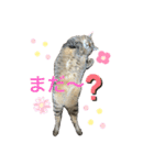 るいさらすたんぷ（個別スタンプ：5）