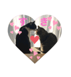 るいさらすたんぷ（個別スタンプ：9）