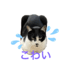 るいさらすたんぷ（個別スタンプ：10）