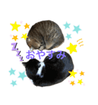 るいさらすたんぷ（個別スタンプ：11）