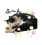 るいさらすたんぷ（個別スタンプ：12）