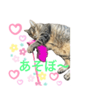 るいさらすたんぷ（個別スタンプ：14）