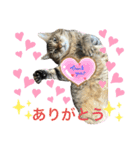 るいさらすたんぷ（個別スタンプ：19）
