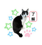 るいさらすたんぷ（個別スタンプ：21）