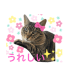 るいさらすたんぷ（個別スタンプ：22）