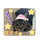 るいさらすたんぷ（個別スタンプ：32）