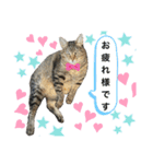 るいさらすたんぷ（個別スタンプ：40）