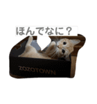 茶太郎の毎日-Y家（個別スタンプ：6）