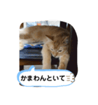 茶太郎の毎日-Y家（個別スタンプ：18）