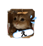 茶太郎の毎日-Y家（個別スタンプ：27）