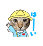 猫たちの日（個別スタンプ：1）