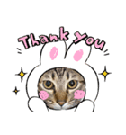 猫たちの日（個別スタンプ：8）