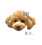 からあげくんvol.1（個別スタンプ：7）