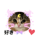 ラム＆ララ②猫大好きな人に使って欲しい（個別スタンプ：5）