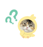 ラム＆ララ②猫大好きな人に使って欲しい（個別スタンプ：9）