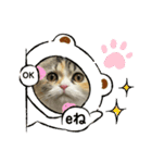 ラム＆ララ②猫大好きな人に使って欲しい（個別スタンプ：10）