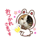 ラム＆ララ②猫大好きな人に使って欲しい（個別スタンプ：11）
