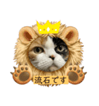 ラム＆ララ②猫大好きな人に使って欲しい（個別スタンプ：12）