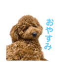 つなちゃんのスタンプ3（個別スタンプ：7）