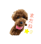 つなちゃんのスタンプ3（個別スタンプ：10）
