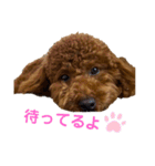つなちゃんのスタンプ3（個別スタンプ：13）