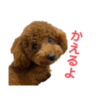 つなちゃんのスタンプ3（個別スタンプ：18）
