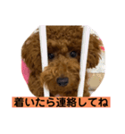 つなちゃんのスタンプ3（個別スタンプ：19）