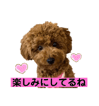 つなちゃんのスタンプ3（個別スタンプ：20）