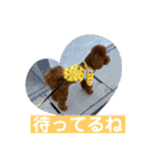 つなちゃんのスタンプ3（個別スタンプ：24）