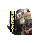 愛鼬、花のスタンプ（個別スタンプ：2）
