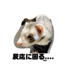 愛鼬、花のスタンプ（個別スタンプ：3）