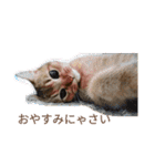 ライムちゃん！！！（個別スタンプ：1）