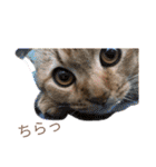 ライムちゃん！！！（個別スタンプ：2）
