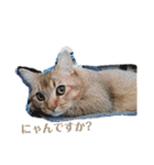 ライムちゃん！！！（個別スタンプ：3）