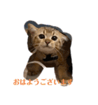 ライムちゃん！！！（個別スタンプ：4）