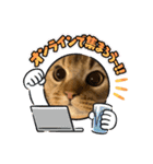 ライムちゃん！！！（個別スタンプ：12）